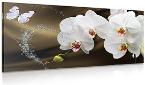 Quadro su tela – Orchidea e farfalla