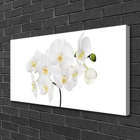 Quadro su tela Fiori di orchidea bianchi 100x50 cm
