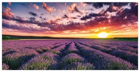 Stampa su tela Campo di lavanda, multicolore 140 x 70 cm