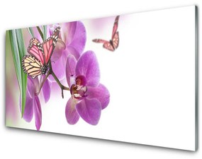 Quadro su vetro acrilico Farfalle Fiori Natura 100x50 cm