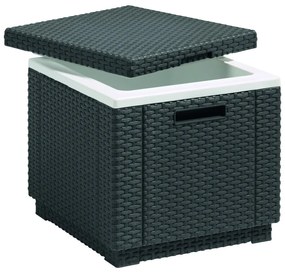 Tavolo da giardino con vaschetta per il ghiaccio 42x42 cm - Keter