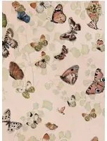Coordonne Carta da parati Magic butterflies - Sweet