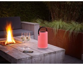 Apparecchio solare a LED per esterni (altezza 21 cm) Garcia - Trio