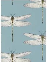 Harlequin Carta da parati Demoiselle - Cornflower/ First Light/ Honey