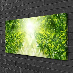 Quadro su tela Foglie di piante naturali 100x50 cm