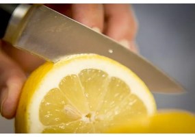 Tefal - Coltello inox ICE FORCE 9 cm cromo/nero