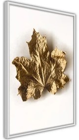 Poster Dried Maple Leaf