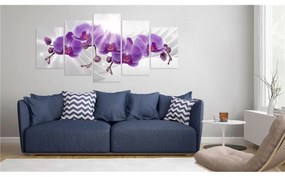 Quadro  Abstract Garden: Purple Orchis  Colore Bianco, Dimensioni e Misure 100x50