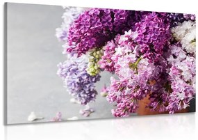 Stampa su tela – Lilla in tonalità rosa