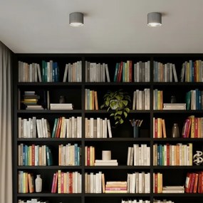 Brilagi - LED Faretto orientabile STRIPY 1xGX53/15W/230V argento