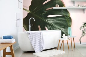 Carta da parati – Foglia di monstera