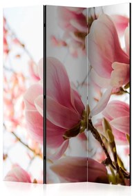 Paravento Pink magnolia [Room Dividers]