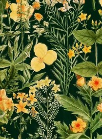 Blumentapete Mimulus von MINDTHEGAP - WP20322