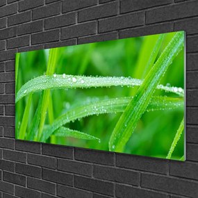 Quadro in vetro Gocce di foglie di natura rosata 100x50 cm