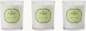 Set di 3 candele profumate fatte a mano Vintage Aromatherapy (mughetto, fiori bianchi e muschio bianco)