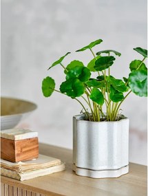 Vaso per fiori in gres per erbe aromatiche ø 13 cm Argyle – Bloomingville