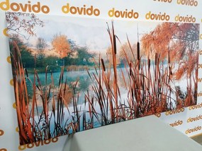 Quadro su tela – Fiume nel mezzo della natura autunnale