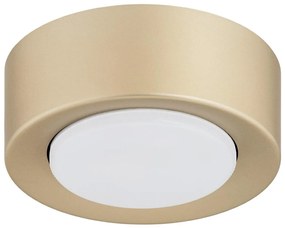 Argon 8903 - Plafoniera ELORA 1xGX53/7W/230V Ø 11 cm dorata