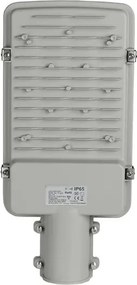 Lampione LED SAMSUNG CHIP LED/30W/230V 6400K IP65