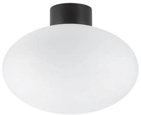 Ideal Lux - Plafoniera esterna CLIO 1xE27/42W/230V IP44 nero