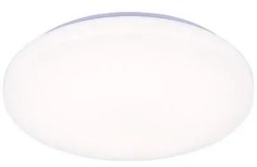 Plafoniera LED dimmerabile con controllo vocale OPAL LED/48W/230V + +TC