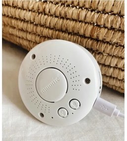 Moonie - Amico di coccole con una melodia e luce orso argento