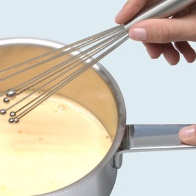 Frusta in acciaio inox Profi Plus - WMF