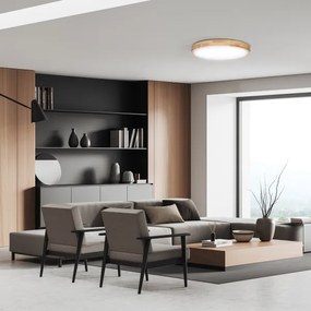 Solight WO8010 - Lampada LED SOLID OAK 60W/230V 3000-6500K Ø 51 cm + DO