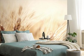 Carta da parati – Campo di grano