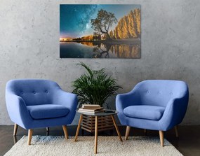 Quadro su tela – Albero sotto il cielo stellato