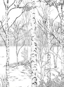 Isidore Leroy Carta da parati panoramica Nunavut Grisaille - Panel C