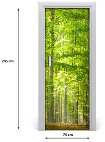 Adesivo per porta interna Paesaggi della foresta di faggi 75x205 cm
