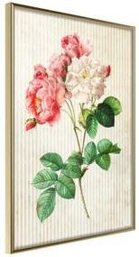 Poster  Romance II  Cornice Quadri Cornice d'oro, Larghezza x Altezza Home decor 20x30