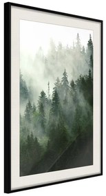 Poster  Steaming Forest  Cornice Quadri Cornice nera con pass-partout, Larghezza x Altezza Home decor 40x60