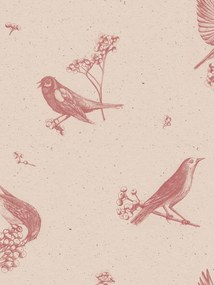 Coordonne Carta da parati Sweet Birds - Rose