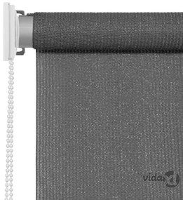 vidaXL Tenda a Rullo per Esterni 120x140 cm Antracite
