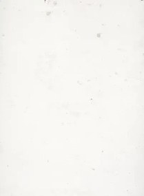 Terrastone Rustique floor - 15kg - KB7 - Edelweiß - 15 kg