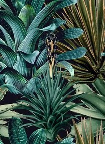 Mindthegap Carta da parati Lush Succulents - WP20164