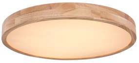 Globo 41745-48 - Plafoniera LED dimmerabile RAINER LED/48W/230V + +TC