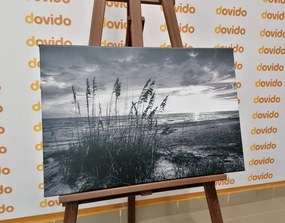 Stampa su tela – Tramonto sulla spiaggia in bianco e nero