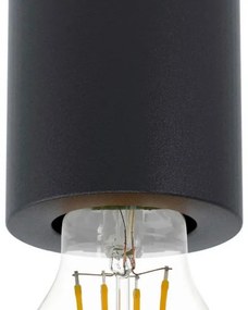 Eglo 99065 - Plafoniera SALUZZO 1xE27/40W/230V