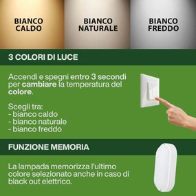 Plafoniera LED da Esterno 15W IP65 Ovale CCT - Bianco Variabile