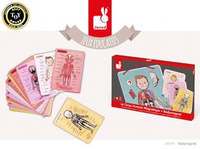 Bodymagnet - Lavagna magnetica - corpo umano