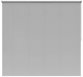 Tenda a rullo filtrante INSPIRE Canberra grigio chiaro 135x250 cm