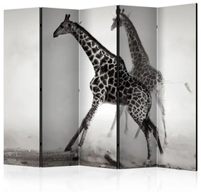 Paravento  Giraffes II [Room Dividers]  Colore ---, Dimensioni e Misure 225x172