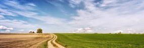 Stampa su tela – Paesaggio incantevole