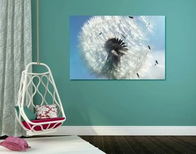 Quadro su tela – Dettaglio del soffione