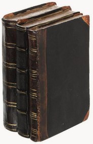 Oggetto decorativo Libro illustrato