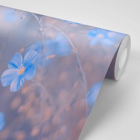 Carta da parati – Fiori blu su sfondo vintage