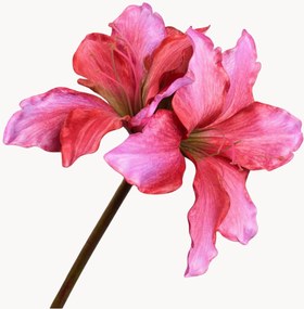 Set di 2 fiori artificiali Amaryllis